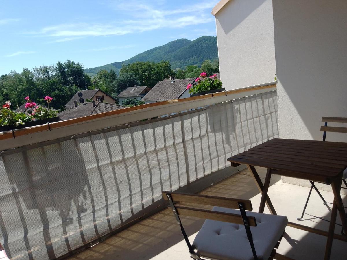Appartement Avec Balcon : Le Serenity Turckheim Ngoại thất bức ảnh
